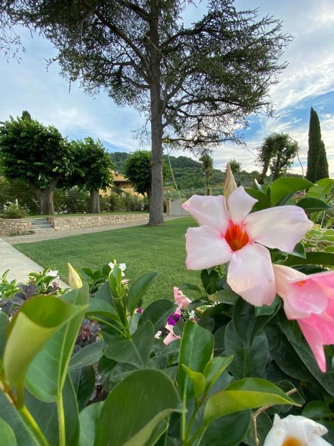 לינה וארוחת בוקר קיאני Relais Maria Cristina מראה חיצוני תמונה